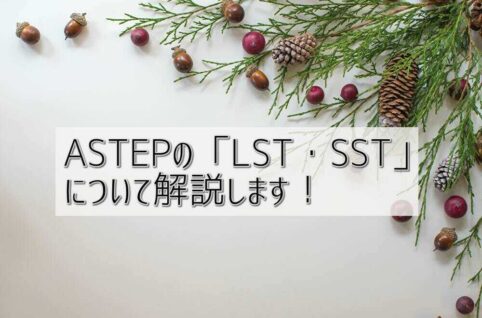 京都府乙訓郡向日市の放課後等デイサービスASTEP（アステップ）ASTEPの「LST・SST」について解説します！