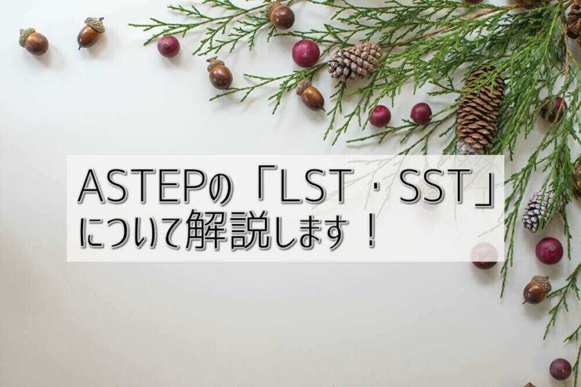 京都府乙訓郡向日市の放課後等デイサービスASTEP（アステップ）ASTEPの「LST・SST」について解説します！