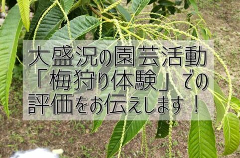 大盛況の園芸活動 「梅狩り体験」での 評価をお伝えします！