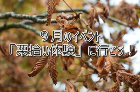 京都府乙訓郡向日市の放課後等デイサービスASTEP（アステップ）９月のイベント！「栗拾い体験」に行こう！