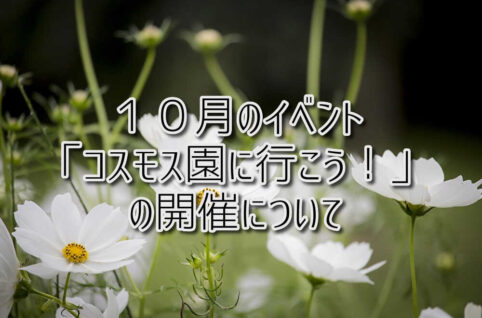 １０月のイベント「コスモス園に行こう！」の開催について