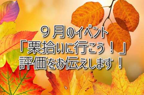 京都府乙訓郡向日市の放課後等デイサービスASTEP（アステップ）９月のイベント「栗拾いに行こう！」の評価をお伝えします！